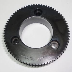 GEAR, SPT/RL 3/4 IN FACE 1/8 CP 73T 1-1/2B