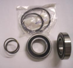 CLUTCH REPAIR KIT-L-600 R (INCLUDES SCREWS, BEARINGS, SPRING, O-RINGS)